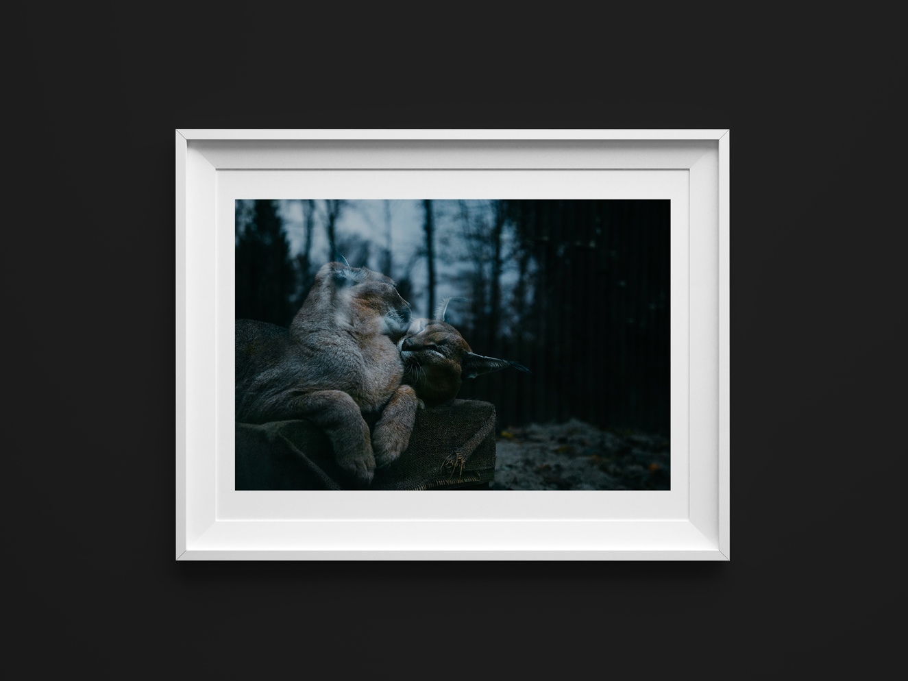 Plakat - Razem z Polski