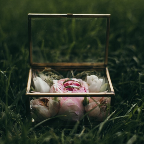 Zdjęcie ślubne obrączek w pudełku na tle ogrodu
