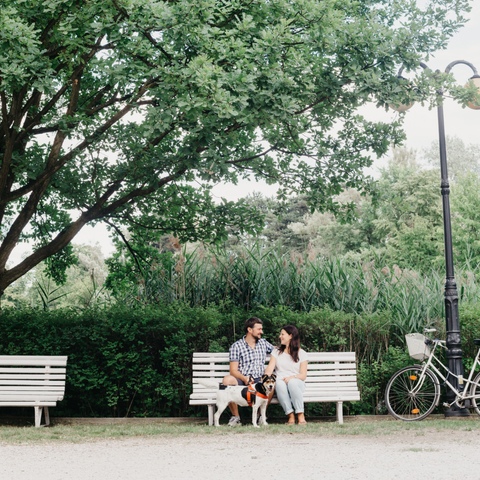 Sesja zdjęciowa dla par - dziewczyna i chłopak siedzą na ławce w parku wraz z psem