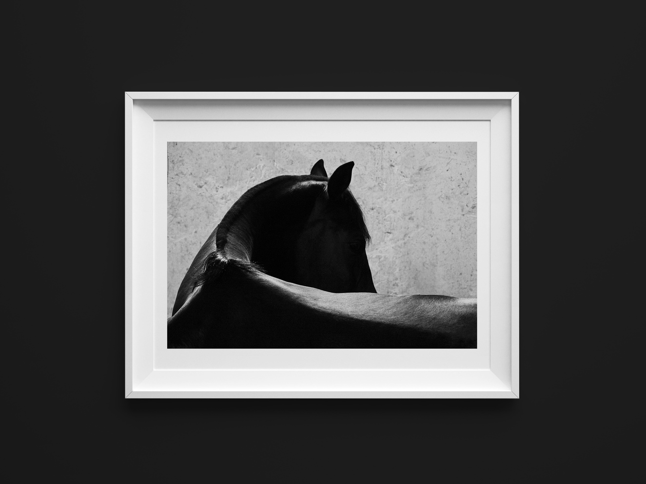 Plakat - Mustang Północy, Primorski Kraj, Rosja