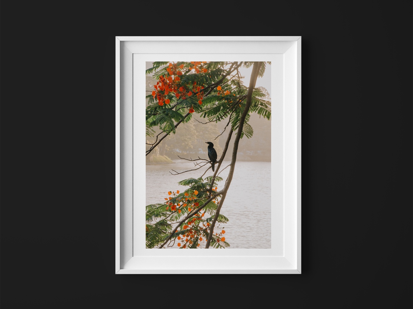 Plakat - Haiku z Kandy na Sri Lance